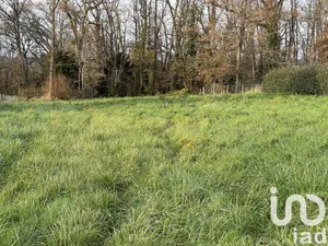 Terrain à Rilly-sur-Loire (41150)