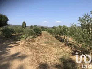 Farm land at Estagel (66310)