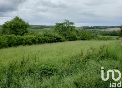 Terrain à CHÂTEAU-RENARD (45220)