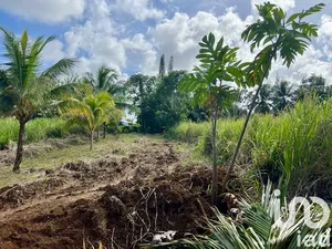 Building plot in Petit-Bourg (97170)