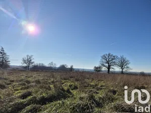 Terrain à Ceaulmont (36200)