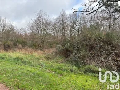 Terrain à bâtir à Saint-Martin-de-Fressengeas (24800)