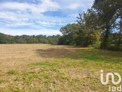 Terrain à bâtir à Buros (64160)