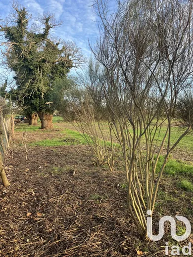 Terrain loisirs à Nort-sur-Erdre (44390) — 2/3