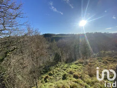Terrain à bâtir à Saint-Priest-Taurion (87480)