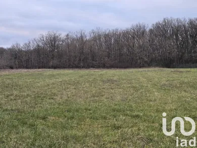 Terrain à bâtir à TENDU (36200)