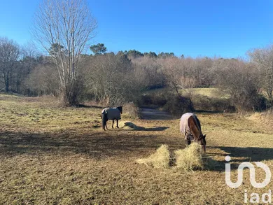 Land at Nabirat (24250)