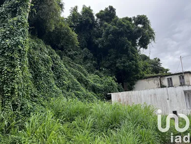 Terrain à bâtir à La Trinité (97220)