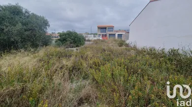 Building plot at La Palme (11480)