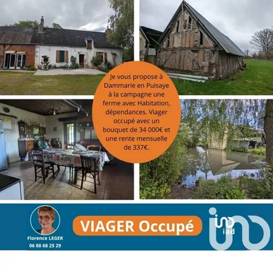 Farm at Dammarie-en-Puisaye (45420)