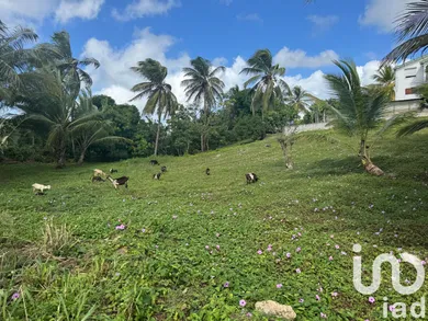 Building plot at Morne-à-l'Eau (97111)