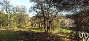 Building plot at Sainte-Maxime (83120)