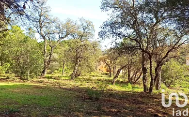 Building plot at Sainte-Maxime (83120)