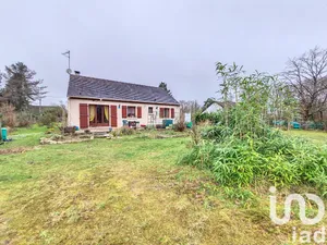 Traditional house at Lorris (45260)