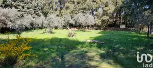 Leisure land in Pignans (83790)