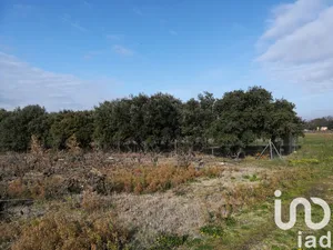 Terrain à Sainte Cécile les Vignes (84290)