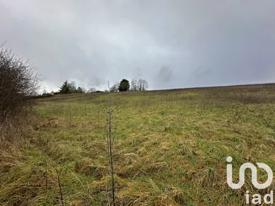 Terrain à Courtenay (45320)