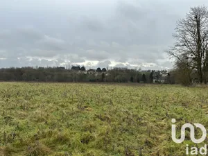Terrain loisirs à Courtenay (45320)