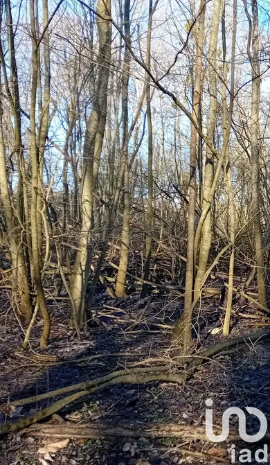Terrain à Chalette sur Loing (45120)