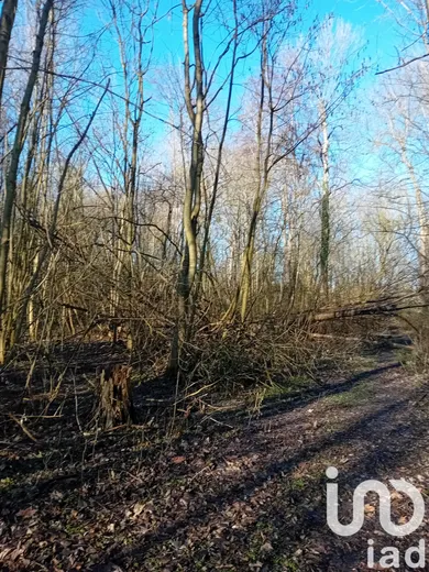 Terrain à Chalette sur Loing (45120) — 2/4