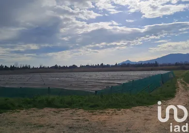 Terrain agricole  à Elne (66200)