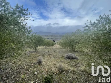 Terrain agricole  à Saint-Paul-de-Fenouillet (66220)