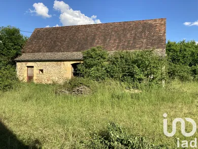 Ferme à Marquay (24620)