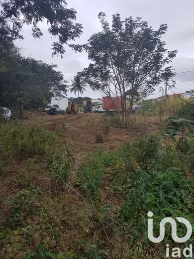 Terrain à bâtir à Sainte-Marie (97438)