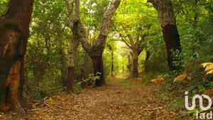Terrain à Le Val (83143)