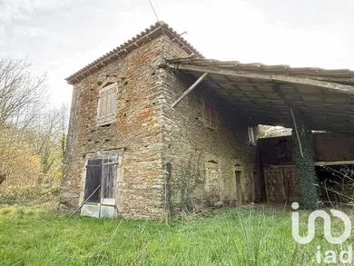 Moulin à terval (85120)