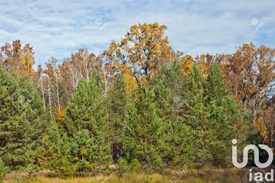 Land at Salles (33770)