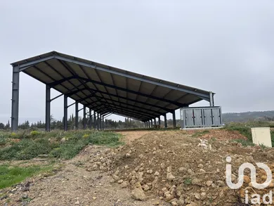 Terrain à Sigean (11130)