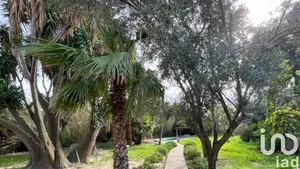 Mas à Perpignan (66000)