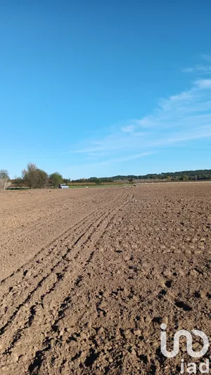 Terrain agricole  à saint nazaire d'aude (11120)