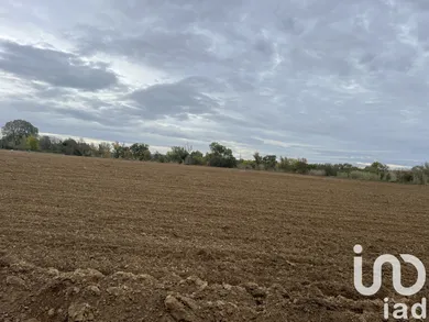 Farm land at saint nazaire d'aude (11120) — 4/5