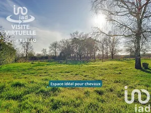 House in Hommes (37340)