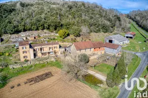 Domain at La Roque-Gageac (24250)