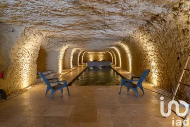 Mansion at Rochecorbon (37210)