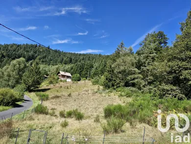 Land at Le Tholy (88530)