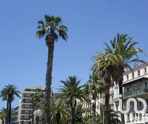 Architectural house at Hyères (83400)