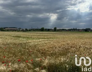 Land at Lallaing (59167)