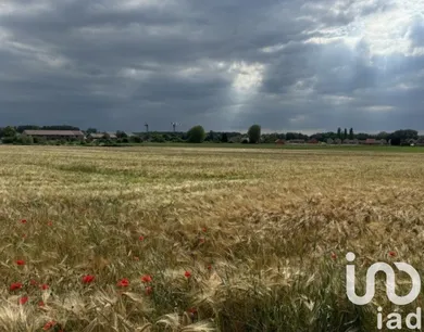 Terrain à Lallaing (59167)