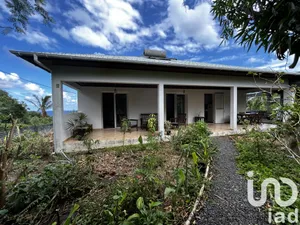 Traditional house at SAINT-PHILIPPE (97442)