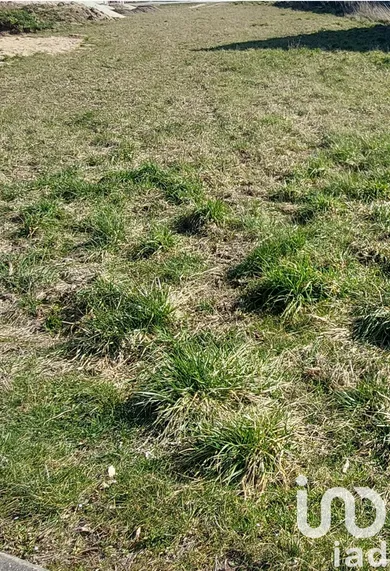 Terrain à bâtir à Pomacle (51110)