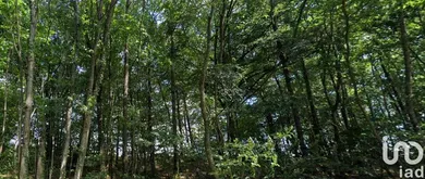 Terrain à Soulvache (44660)