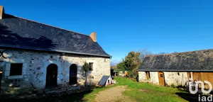 Traditional house in Jarzé (49140)