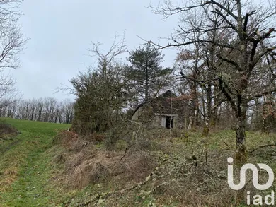 Barn at Montagnol (12360)