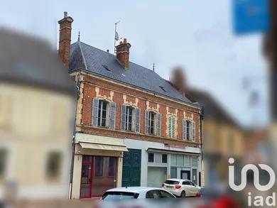 Building in Saint-Fargeau (89170)