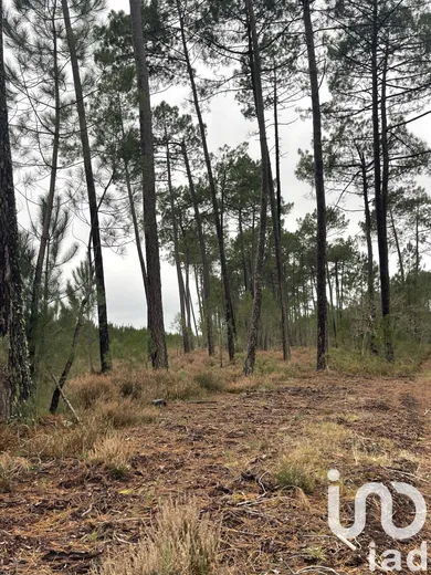 Land at Salles (33770)