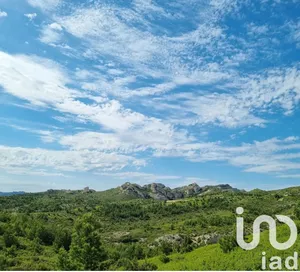 Terrain à Maussane-les-Alpilles (13520)